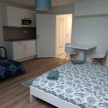 公寓 Prague Apartment *